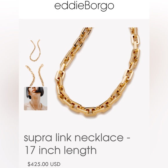 NEW Eddie Borgo Supra Chunky Link Necklace 17” - Picture 6 of 7